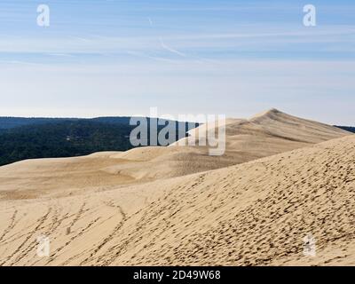 The Pilat Dune or Pyla Dune, on the edge of the forest of Landes de Gascogne on the Silver Coast at the entrance to the Arcachon Basin, is the highest Stock Photo