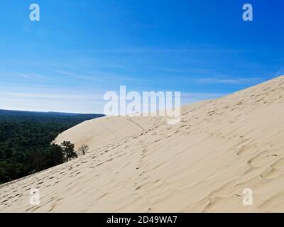 The Pilat Dune or Pyla Dune, on the edge of the forest of Landes de Gascogne on the Silver Coast at the entrance to the Arcachon Basin, is the highest Stock Photo