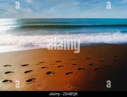 Footprints on beach.  Waves rolling in. Stock Photo