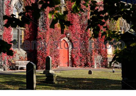 Edinburgh, Scotland, UK. 9th Oct 2020. Liberton Kirk resplendent with autumn colour of the red ivy in the early morning light on a clear sunny day.  Credit: Craig Brown/Alamy Live News Stock Photo