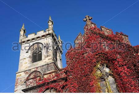 Edinburgh, Scotland, UK. 9th Oct 2020. Liberton Kirk resplendent with autumn colour of the red ivy contrasting against the early morning blue sky on a clear sunny day.  Credit: Craig Brown/Alamy Live News Stock Photo