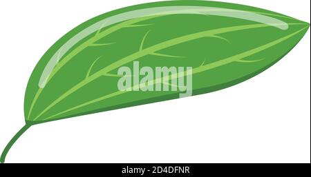 Cinnamon leaf icon, isometric style Stock Vector