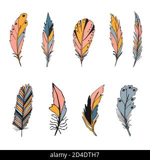 Realistic Bird Feathers. Detailed Colorful Feather of Different