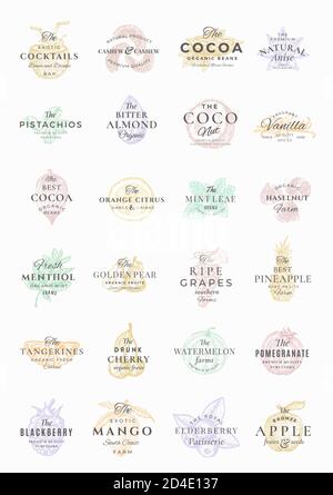 Premium Fruits, Berries, Nuts and Spices Elegant Labels Set. Abstract Vector Signs, Symbols or Logo Templates Bundle. Hand Drawn Food Sketches with Stock Vector