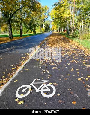 bicycle painted on bicycle path in Hallabrottet Kumla Sweden Stock Photo