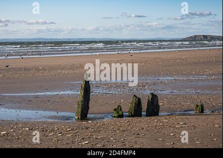 Remains of the Helvetia shipwreck on Rhossili Beach, Gower Peninsula, Swansea, Wales Stock Photo