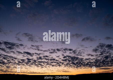 Orange sunset in the background of the forest. Stock Photo