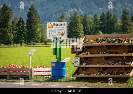 SCHWANGAU, GERMANY - SEP 9, 2018: Pumpkins food and ornamental at outdoor farmers market in Bavaria, Germany, Europe Stock Photo