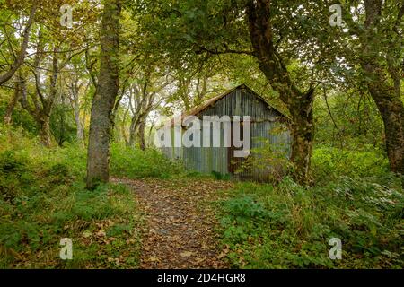 A shed in Lewis Castle Grounds. Stock Photo