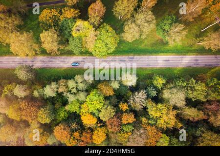 aerial view of forest road in beautiful autumn at sunset Stock Photo