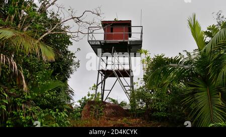 Remote radio tower surrounded by dense rainforest located on the top of Mount Azore in the south of Praslin island, Seychelles. Stock Photo