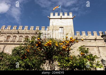 Orange tree in front of La Lonja Valencia La Lonja de la Seda de Valencia Spain UNESCO Stock Photo