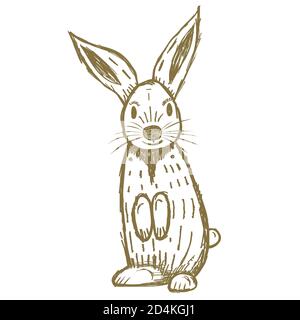 Cute Hand Drawn Rabbit Isolated on White. Vector Illustration. Stock Vector