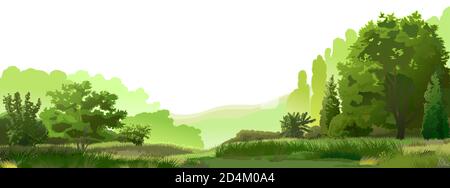 Forest, mountains in the distance. . Green beautiful landscape. Mature trees, oysters and grass. On the horizon foggy mountains. Mysterious Stock Photo