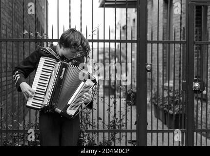 Musician plays accordion Stock Photo