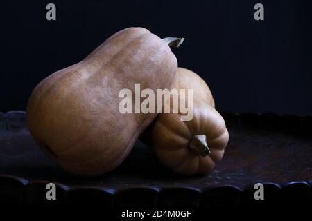 Pumpkins. Two orange long pumpkins on dark background. Stock Photo