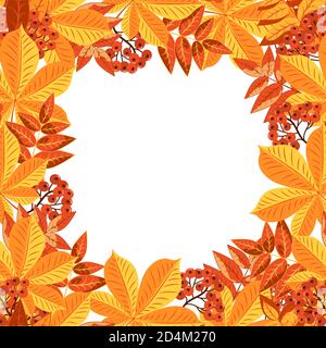 Autumn colorful square leaf frame isolated on white background. Autumn yellow and red foliage of trees, rowan berries are collected in the frame of th Stock Vector