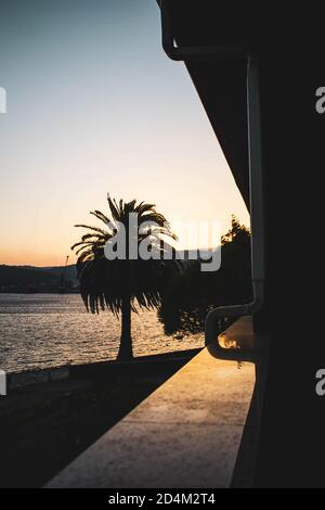 palm tree in the sea at sunrise seen from a balcony Stock Photo