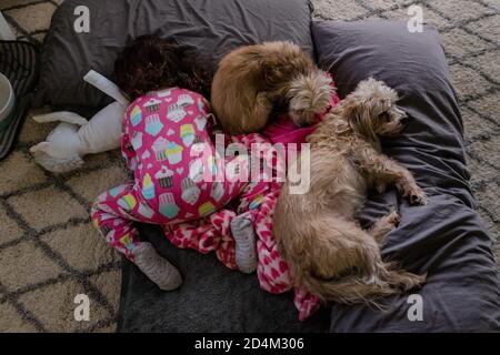 toddler girl and two small dogs sleeping on the floor Stock Photo
