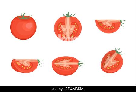 Set of chopped tomatoes isolated on white background. Tomato slices illustration. Stock Vector
