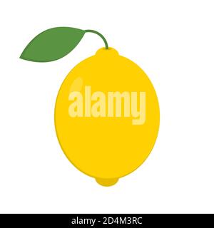 Fresh lemon fruits, collection of vector illustrations Stock Vector