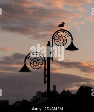 Lyme Regis, Dorset, UK. 9th October 2020. UK Weather: Sunset colour at Lyme Regis. A seagull perched on one of the town's iconic street lamps is silhouetted as the early evening sky glows with sunset colour. Credit: Celia McMahon/Alamy Live News. Stock Photo