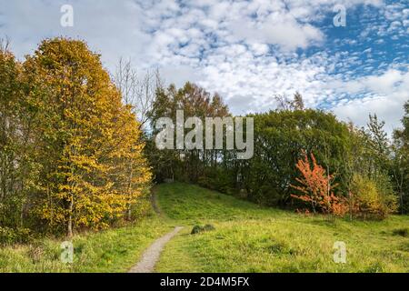 A landscape image of autumnal trees at Warton Crag, a popular nature reserve in lancashire, England. 07 October 2020 Stock Photo