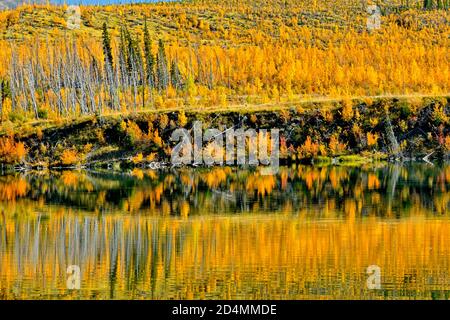 A gorgeous fall landscape image along Sincline ridge on the shores of Talbot lake in Jasper National Park Alberta Canada. Stock Photo
