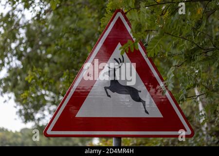 HOGE HEXEL, NETHERLANDS - Oct 02, 2020: Reflecting Dutch traffic sign on the side of the road with a deer and red triangle warning for wildlife to cro Stock Photo