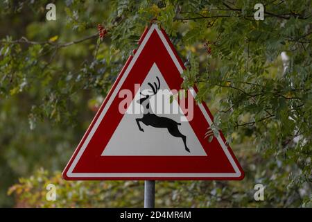 HOGE HEXEL, NETHERLANDS - Oct 02, 2020: Dutch traffic sign on the side of the road with a deer and red triangle warning for wildlife to cross the stre Stock Photo