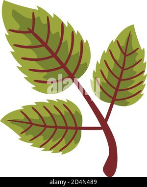 autum serrateds leafs flat style icon vector illustration design Stock Vector