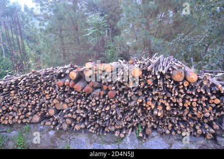 fire wood preserved for winter season in a village of outer Kathmandu valley, Nepal. Stock Photo