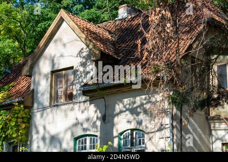 Tiled roof of an old house from the 19th century. Wooden windows without restoration on the facade of a cottage in the forest. Stock Photo