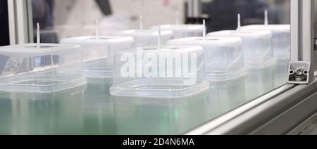 polypropylene food containers on conveyor belt of a plastic injection  machine Stock Photo