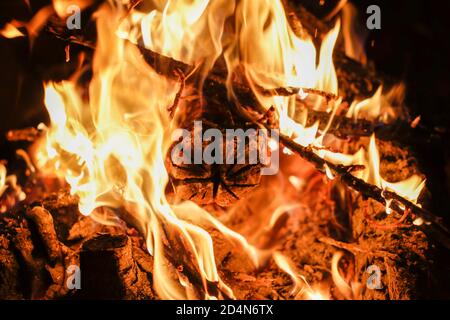Details of a wood fire in a red brick fireplace dug in the ground Stock Photo