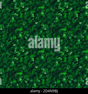 Seamless pattern green grass texture background. Starweed -winterweed, chickweed, satinflower, Stellaria media- plants. Good green leaves. Green backg Stock Photo