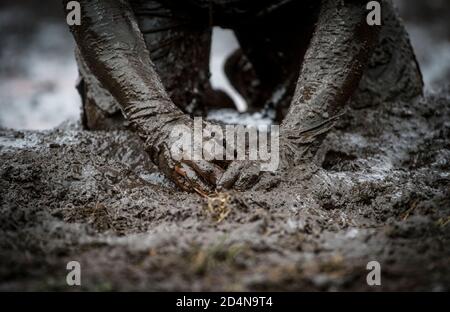 Mud race runners. Crawling,passing under a barbed wire obstacles during extreme obstacle race. Extreame sport concept Stock Photo