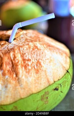 Fresh coconut water served in a shell with a white straw Stock Photo