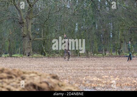 Driven game shooting in Lancashire, England Stock Photo