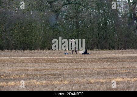 Driven game shooting in Lancashire, England Stock Photo