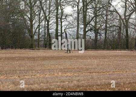 Driven game shooting in Lancashire, England Stock Photo