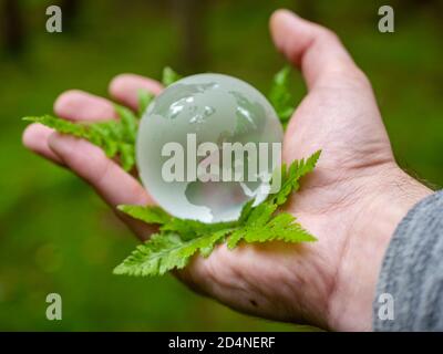 World globe with green fern in a hand Stock Photo
