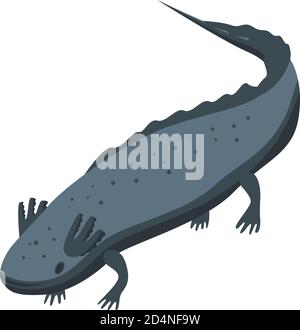 Mexican salamander icon, isometric style Stock Vector