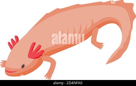 Axolotl lizard icon, isometric style Stock Vector