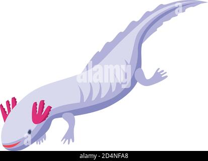 Axolotl amphibia icon, isometric style Stock Vector