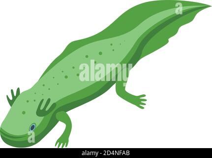 Mexican axolotl icon, isometric style Stock Vector