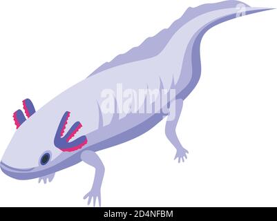 Aquatic axolotl icon, isometric style Stock Vector