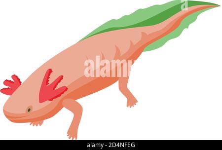 Lake axolotl icon, isometric style Stock Vector