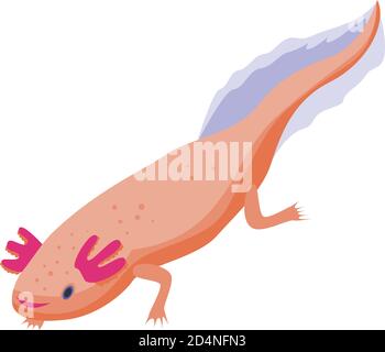 Mexican walking fish icon, isometric style Stock Vector