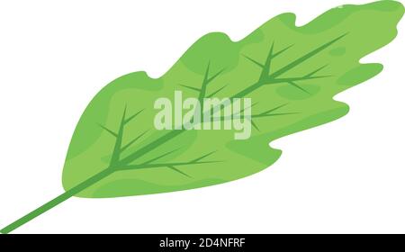 Oak leaf icon, isometric style Stock Vector
